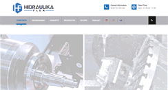 Desktop Screenshot of hidraulikaflex.com