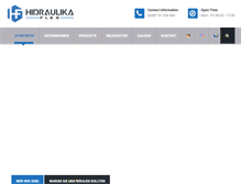 Tablet Screenshot of hidraulikaflex.com